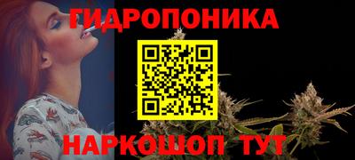 крисы Кинель