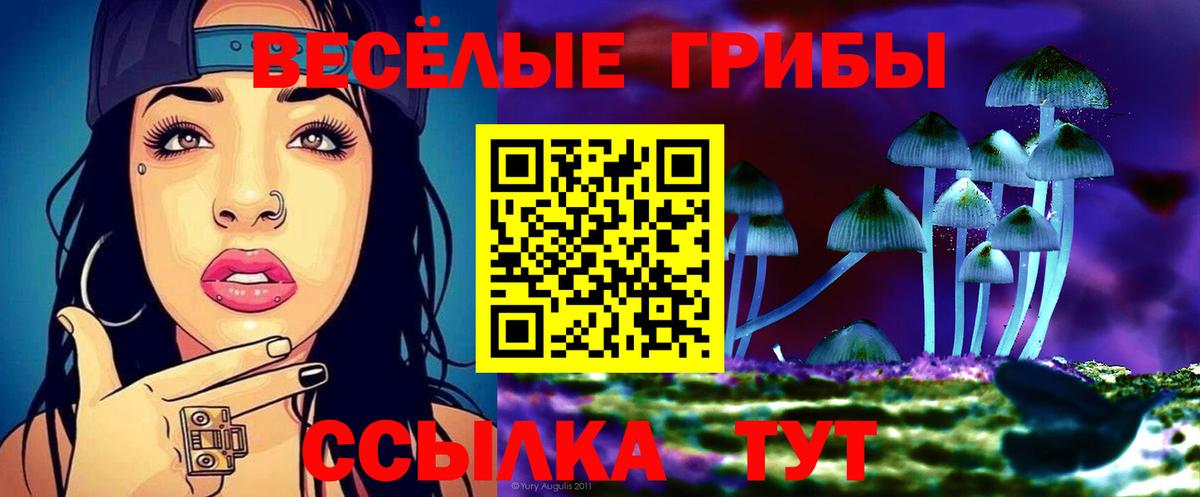 Галлюциногенные грибы прущие грибы Кимовск
